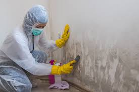 Best Emergency Mold Remediation  in Lowell, OR